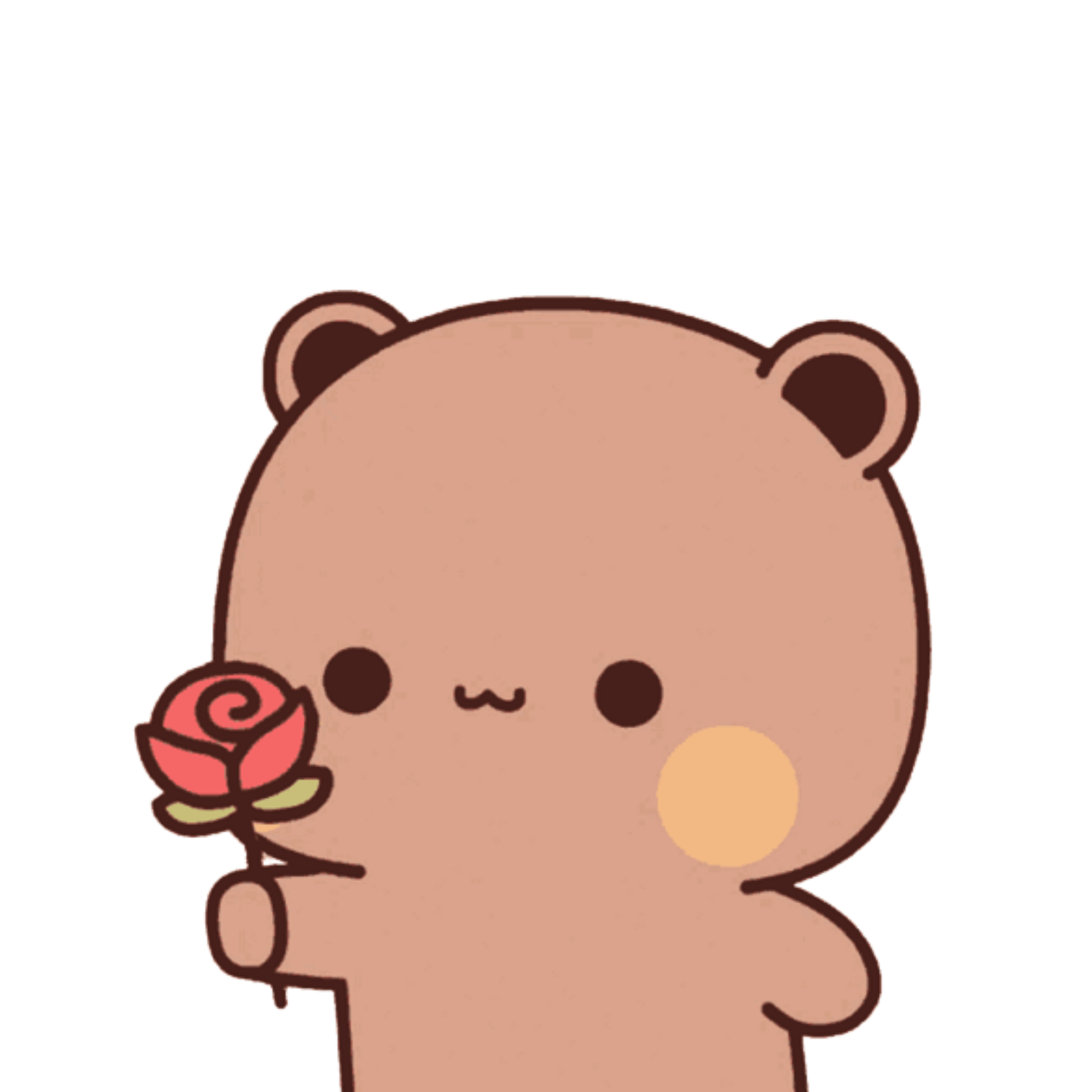 Cute Bear